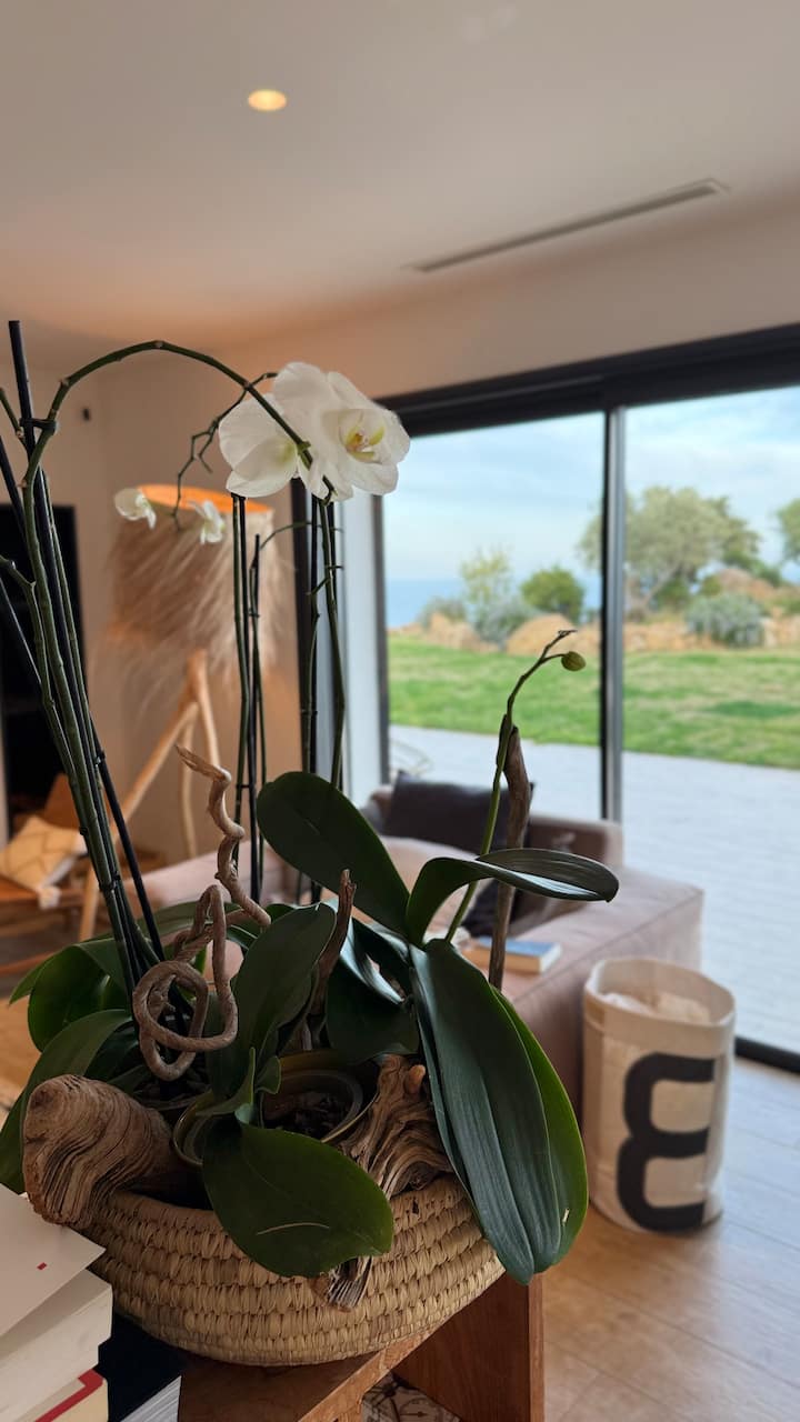 Villa De Standing- Vue Mer Exceptionnelle - Solenzara