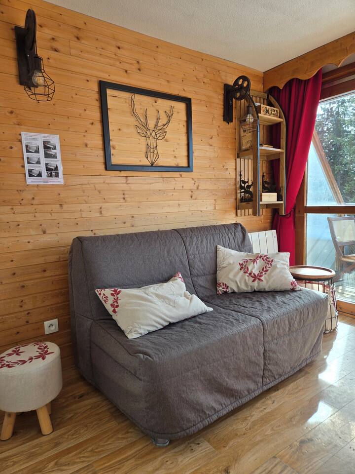 Au Pied Des Pistes Accès Gratuit Piscine, Fitness - Séchilienne
