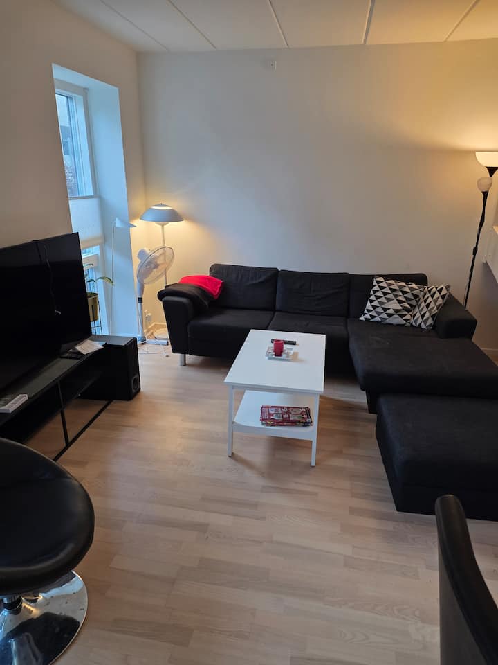 Dejligt, Nybygget Rækkehus, Centralt I  Odense - Odense
