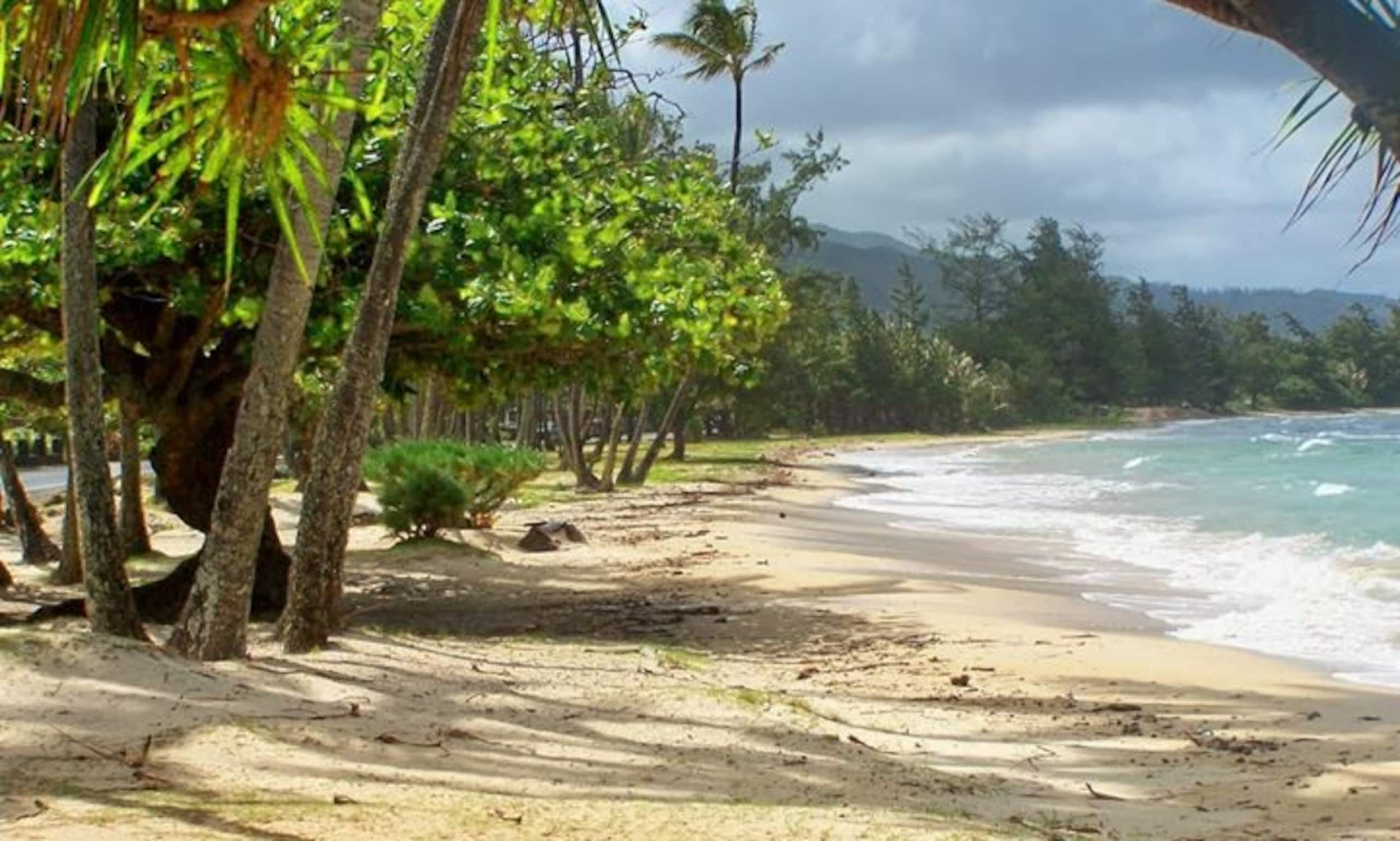 Home in Hauula · ★4.8 · 5 bedrooms · 9 beds · 3 private baths - Image 2