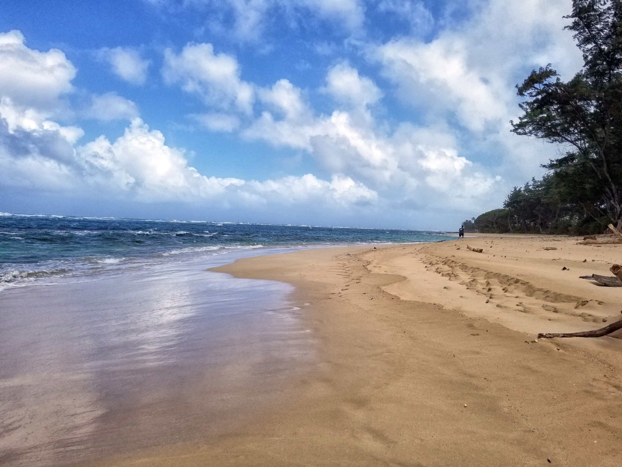 Home in Hauula · ★4.8 · 5 bedrooms · 9 beds · 3 private baths - Image 14