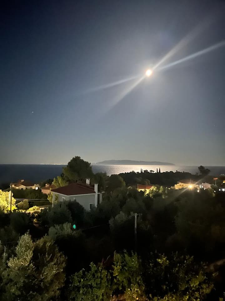 "Gaia E Mare" Suit Apartment. - Cephalonia