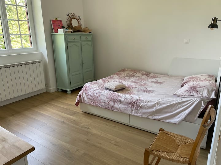 Habitación 1
