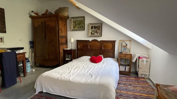 Proche Genève Belle Chambre Chez Artiste Peintre - Ferney-Voltaire
