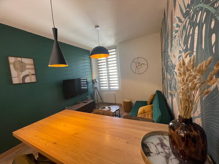 Charmant Petit Appartement Proche De La Gare - Grenoble
