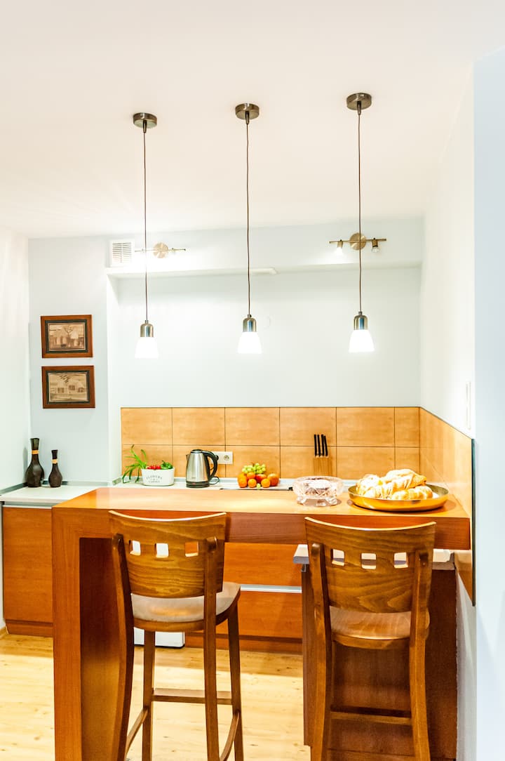 Apartament W Centrum. Wyposażony. Klimatyzacja - 羅茲