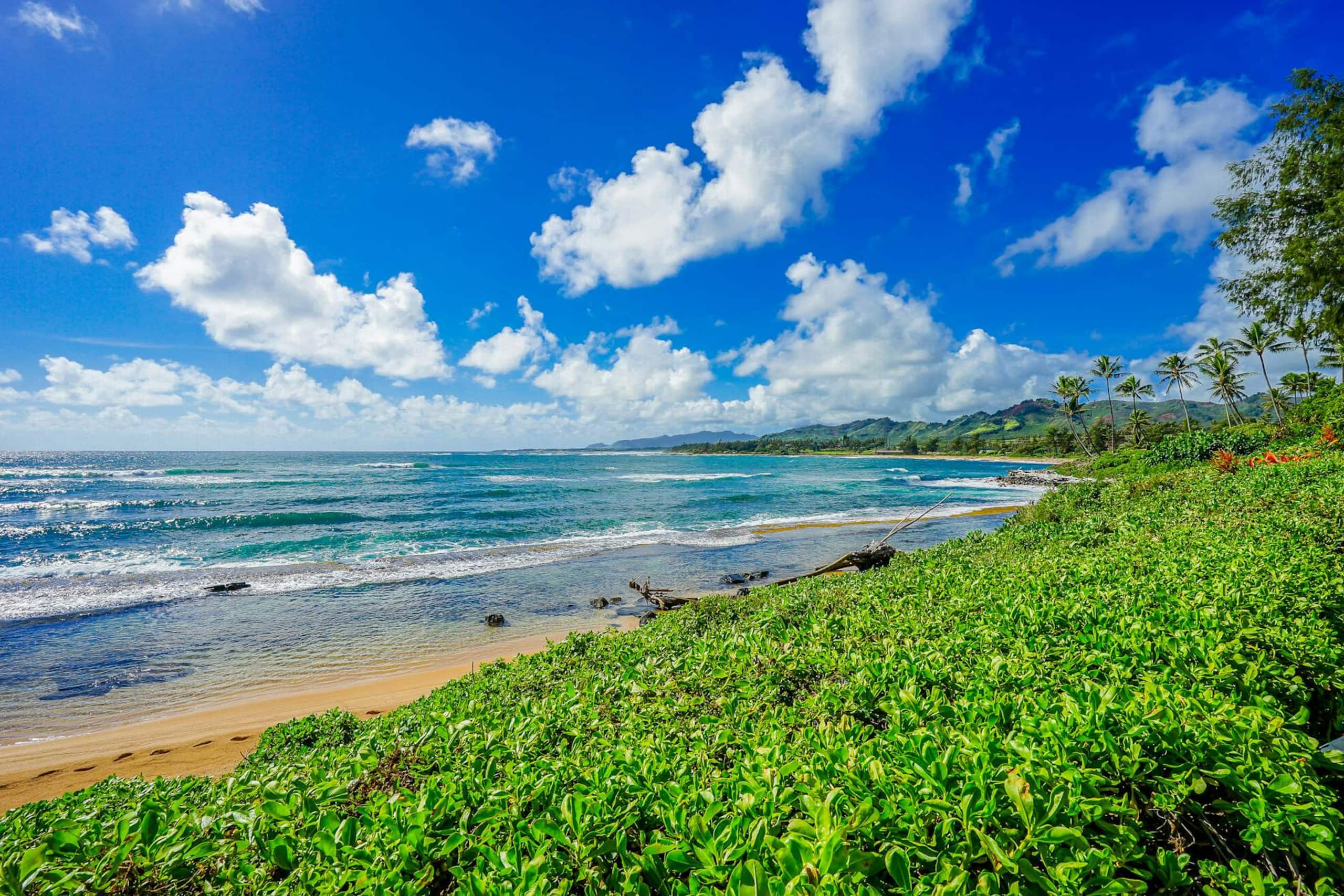 Condo in Kapaa · ★4.84 · 2 bedrooms · 3 beds · 2 private baths - Image 1