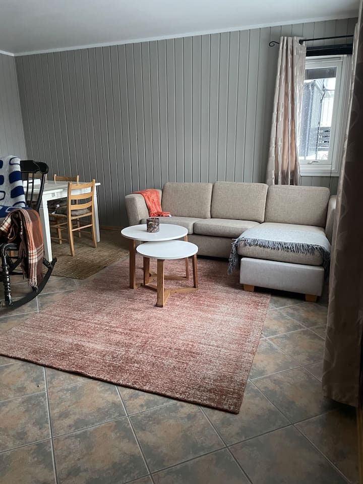 3 Roms Leilighet Nær Sentrum Med Stor Veranda. - Raufoss