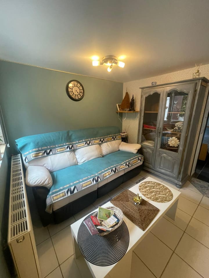 Studio Cosy Avec Terrasse Jardin Clos & Parking, - Völklingen