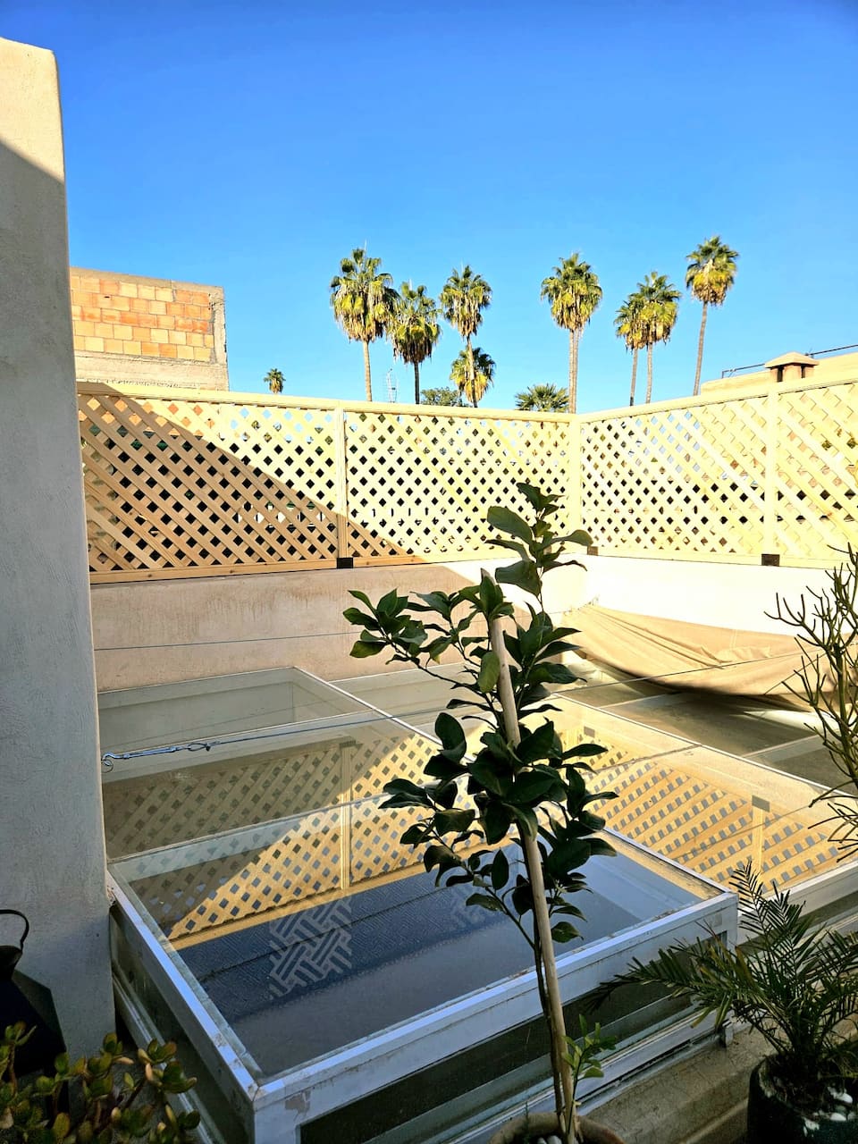 Riad des Loulous, in the medina, Marrakesh, Marrakesh-Safi, Morocco, photo 4 of 10