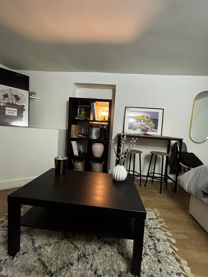 Petit Studio Coquet 2 Couchages - Paris