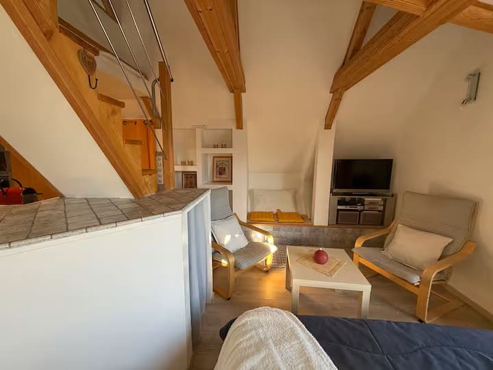 Chalet Panoramique Cosy Vue Montagnes & Jardin - Embrun