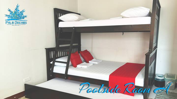 Palm Dreams Resort - Lobo