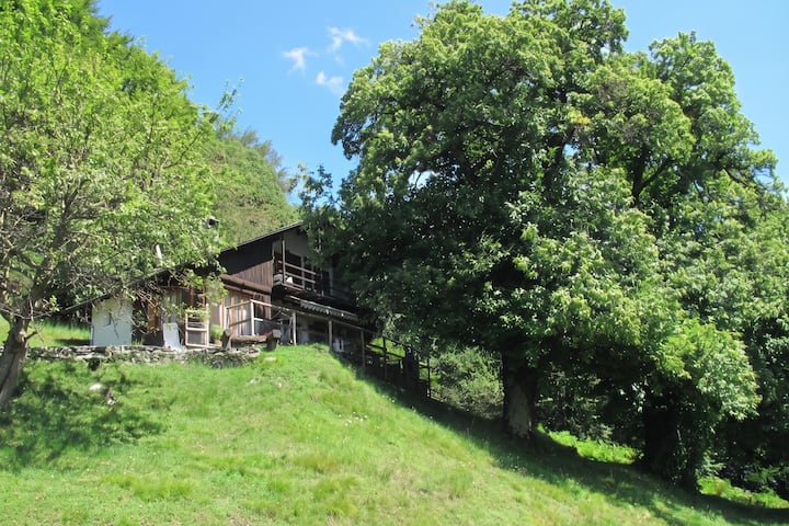 Ca Brunella 2 - By Happy Rentals - Gordola