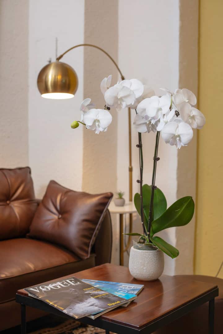 Nestspace | Classic Cozy Apt View Walking Street - Hanoi