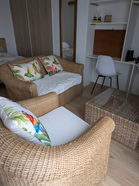 Propriété Airbnb réussie: Apt 35 m², city center. Bright and functional. à Voiron