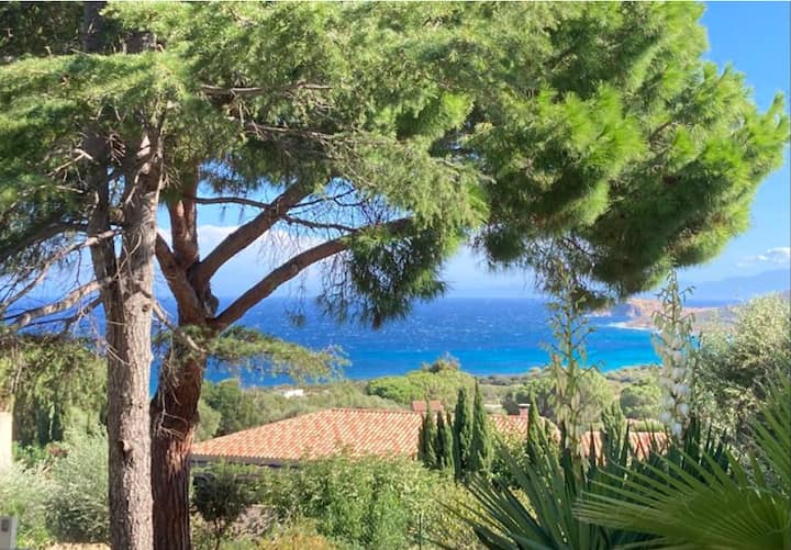 Villa Marine Privée De Davia 4 Chb/9 Lits, Piscine - Lumio
