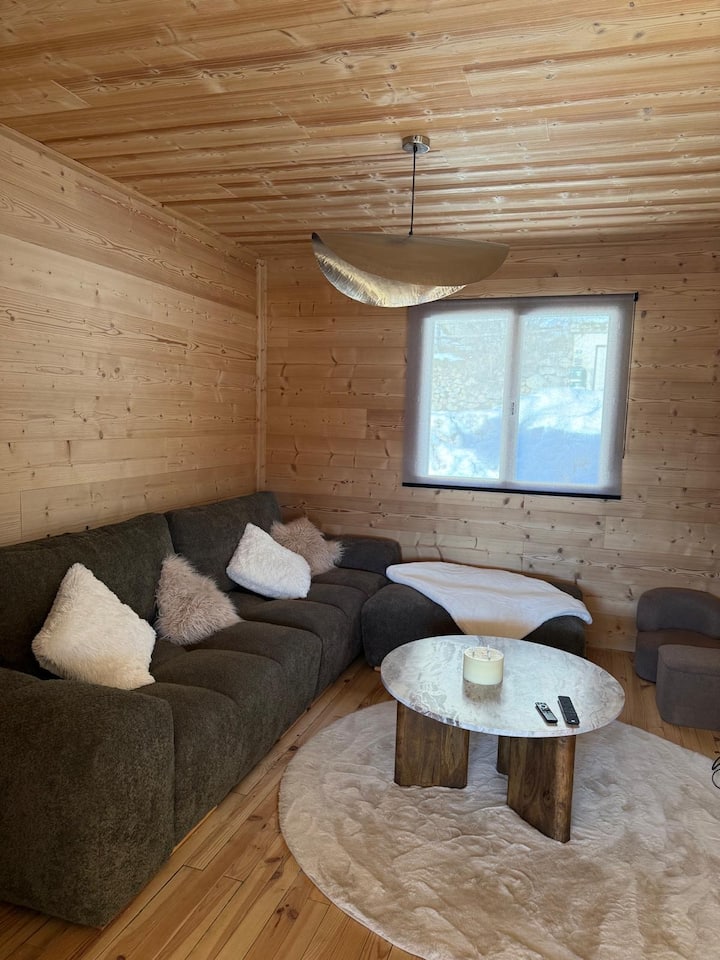 Chalet 10 Pers •Bain à Remous & Billard•les Angles - Matemale