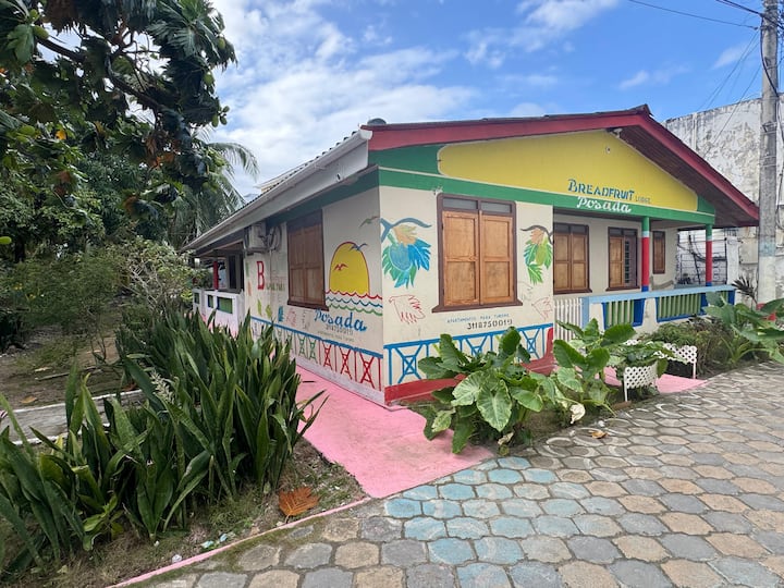 Apartamento Bread Fruit De 2 Habitaciones. - San Andrés