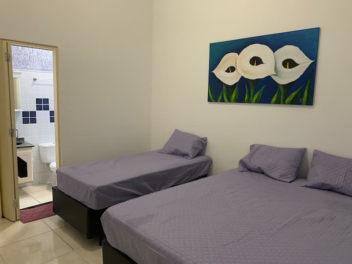 Habitación 1