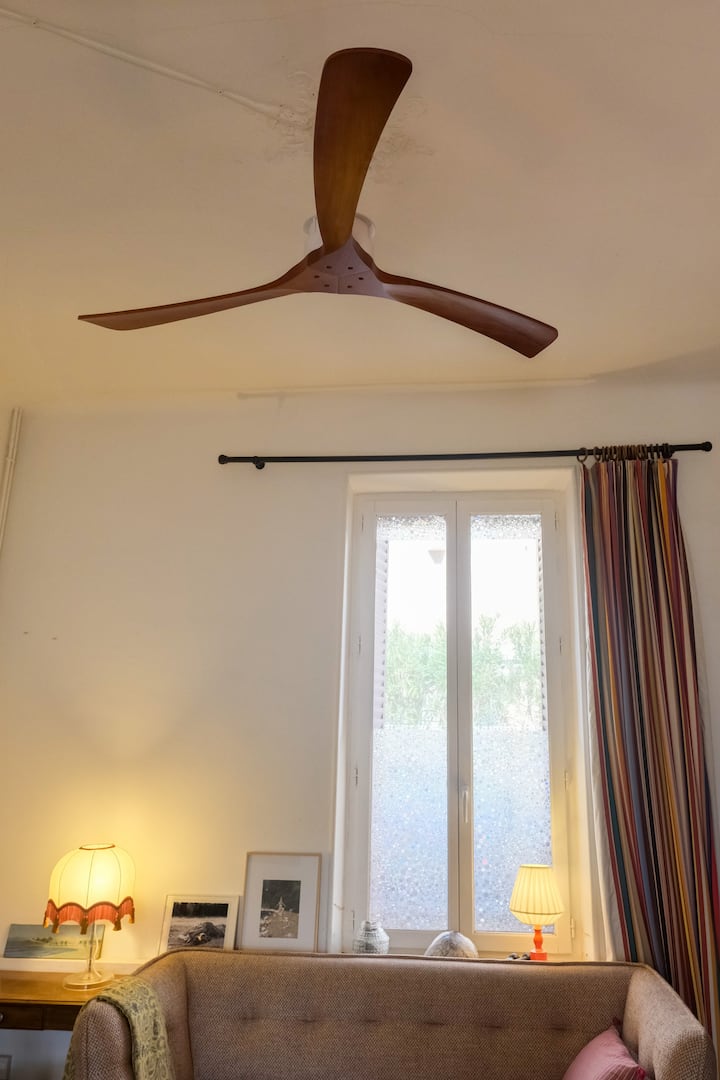 La Glycine - Arles