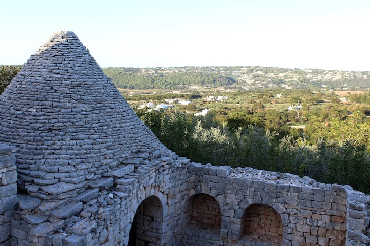 Vista Rose
An Original Trullo With Stunning Views. - Fasano