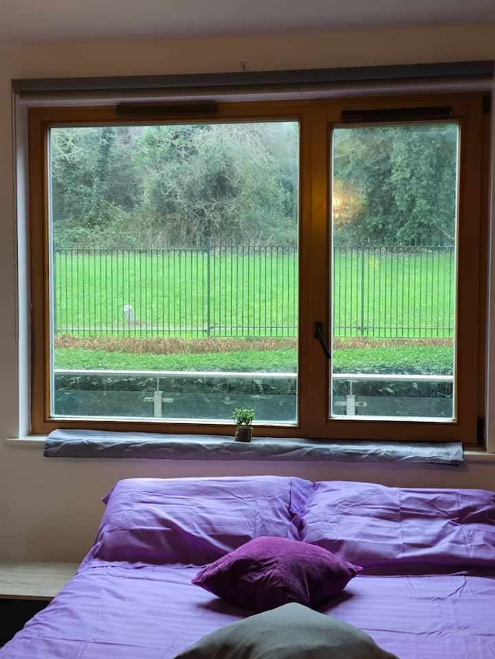 En-suite Bright & Quiet Room 15-min Walk To Luas - Bray