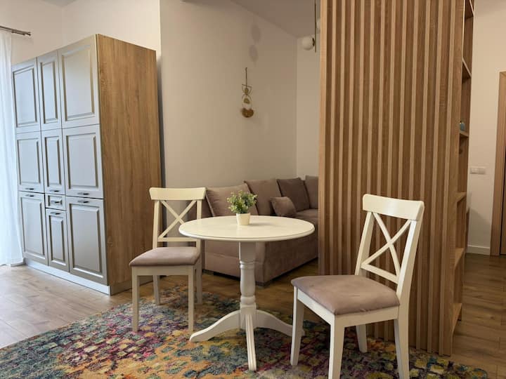 Nest Inn Powder Apartment - Baia Mare