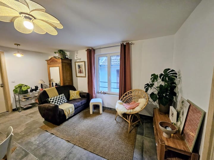 Appartement Le Petit Bretzel - La Petite-Pierre