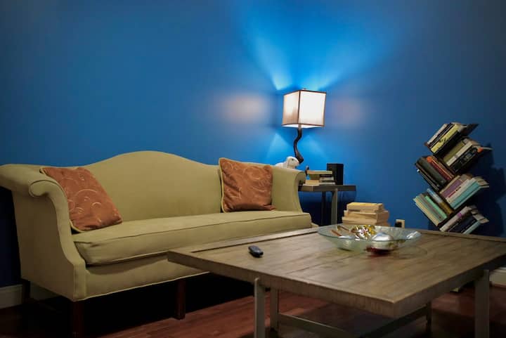 Beautiful 1 Br Apartment At The Heart Of Downtown. - Richmond, VA