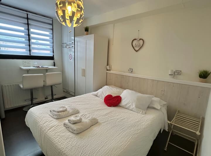 Habitacion Con Minicocina Y Baño Privado - San Sebastián
