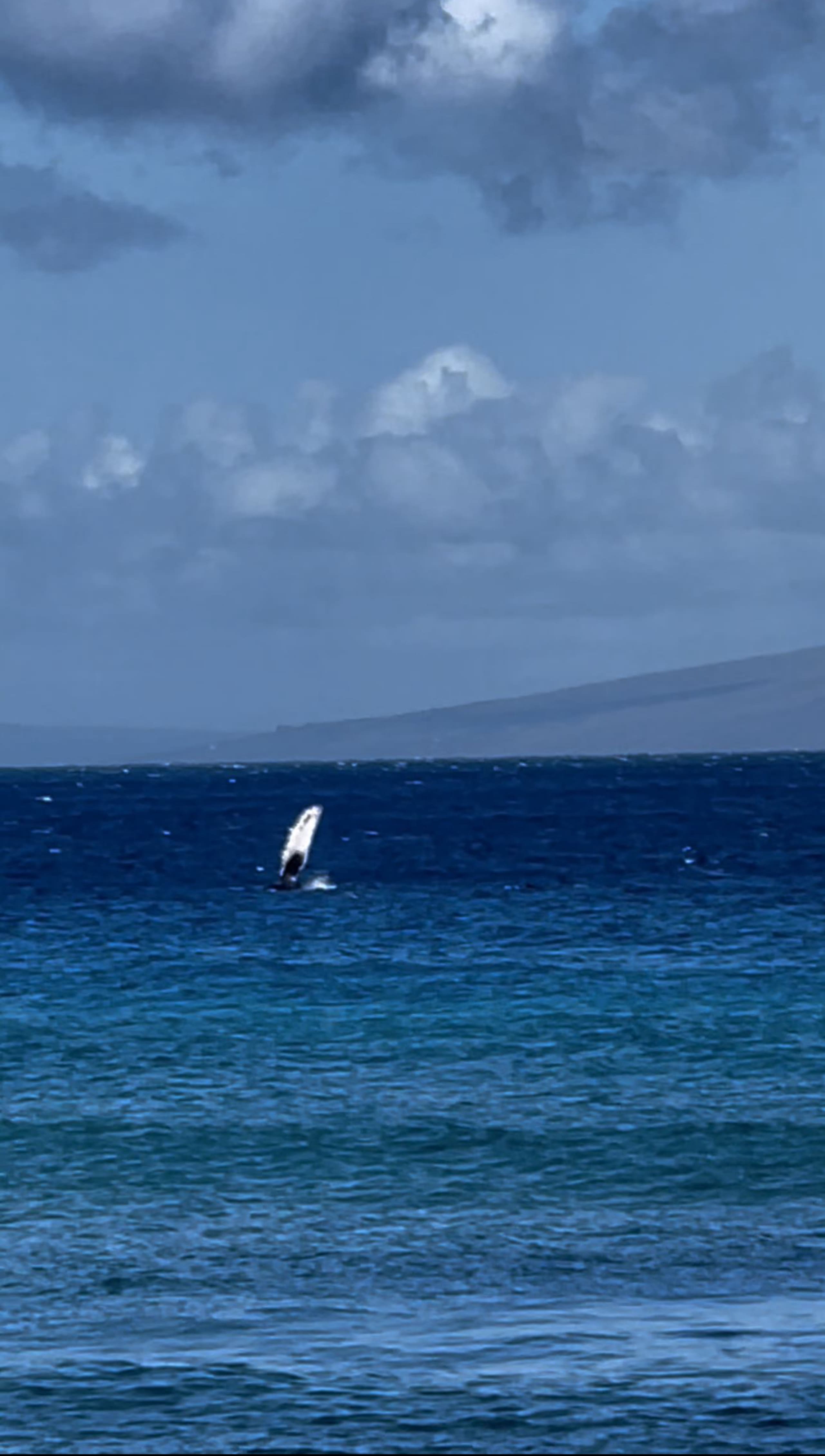 A jewel on Oceanfront & Breath Taking Views. - Photo 13