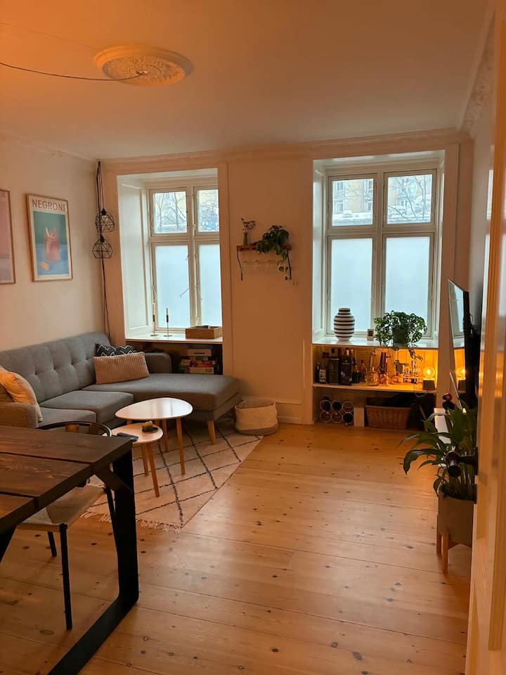 Bright Apartment In The City Center By The Lakes - Copenhague