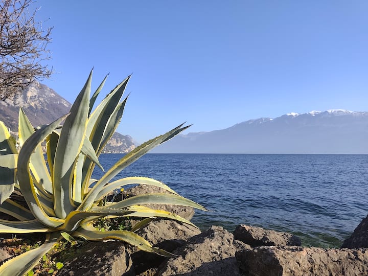Flat At The Dock - Collina - Pet Welcome - Gargnano