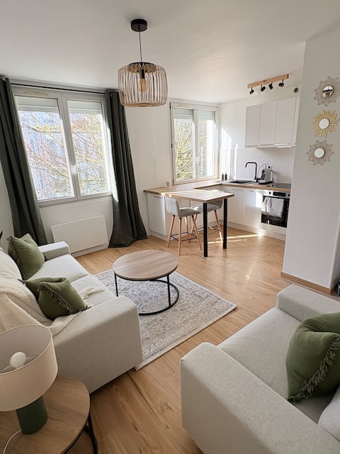 Top performing Airbnb: Recently renovated 2 bedroom apartment in Loire Atlantique