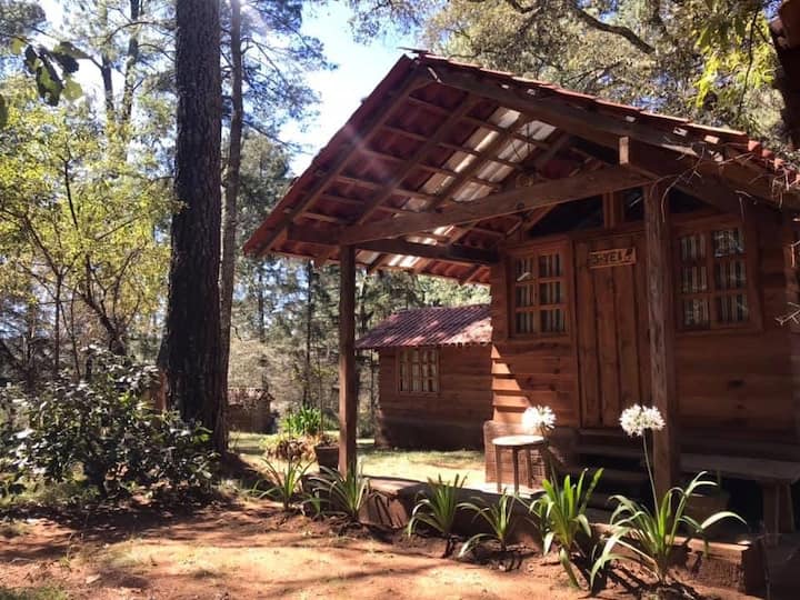 Hermoso Campamento Para Convivios En Tapalpa - Tapalpa