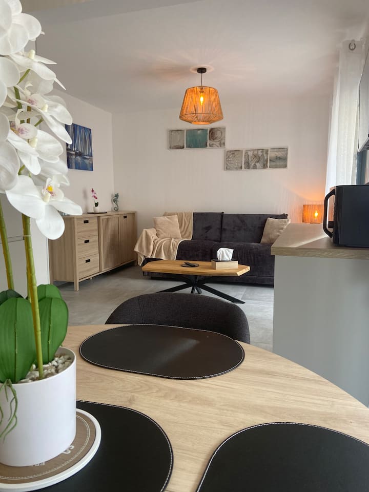 Au Vent Du Large, Appartement à 50m De La Plage - Belle Dune