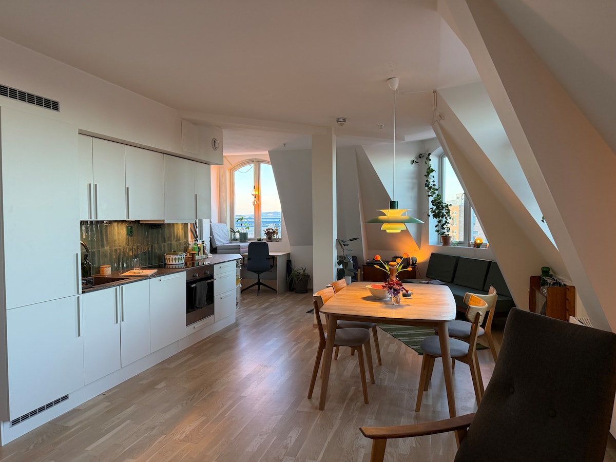 A closer look at Norway Penthouse Apartment With Ocean View