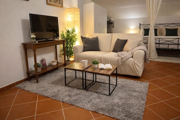 Mansarda Con Terrazzo, Park & Aria Condizionata - Livourne