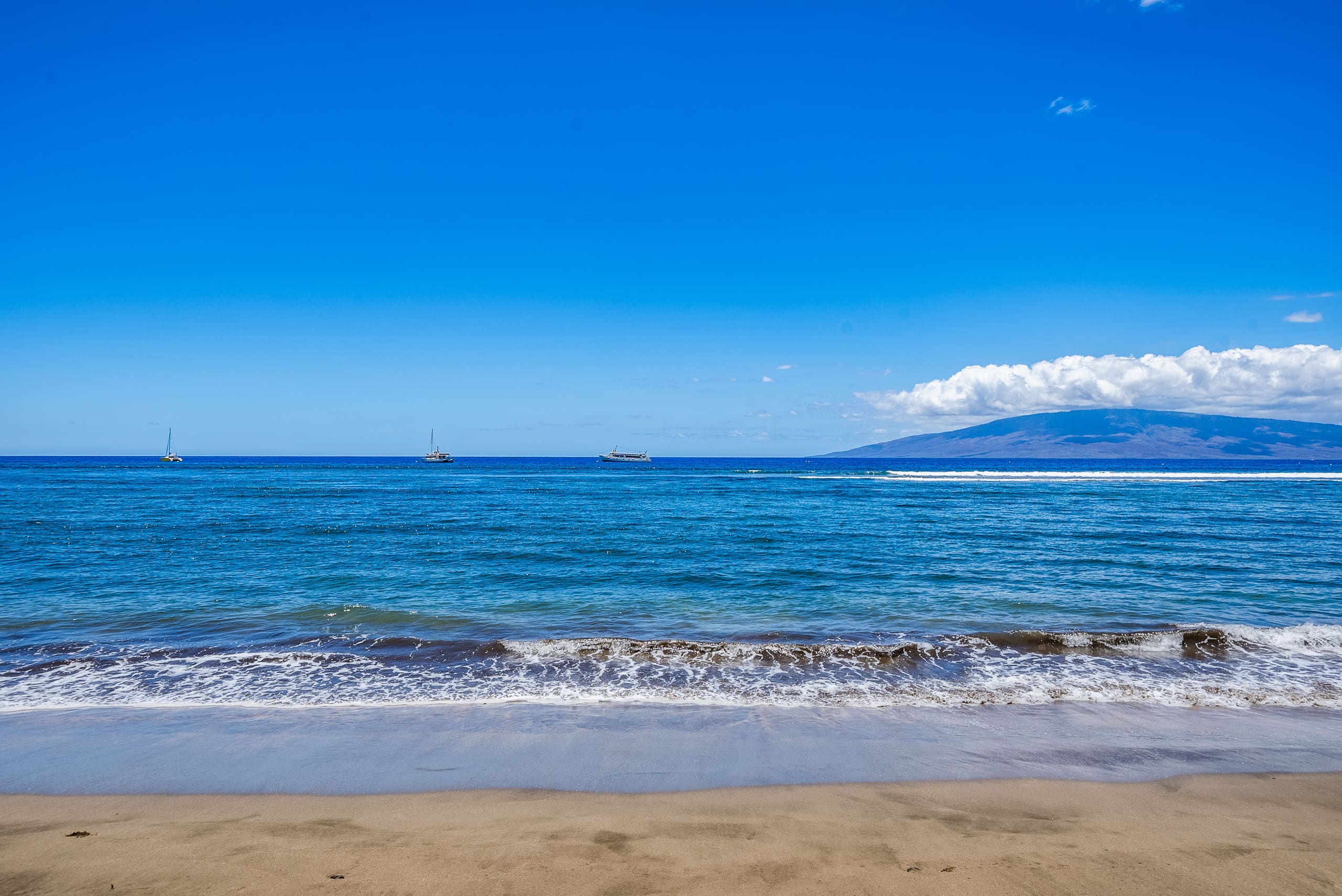 Home in Lahaina · ★5.0 · 1 bedroom · 1 bed · 1 bath - Image 71