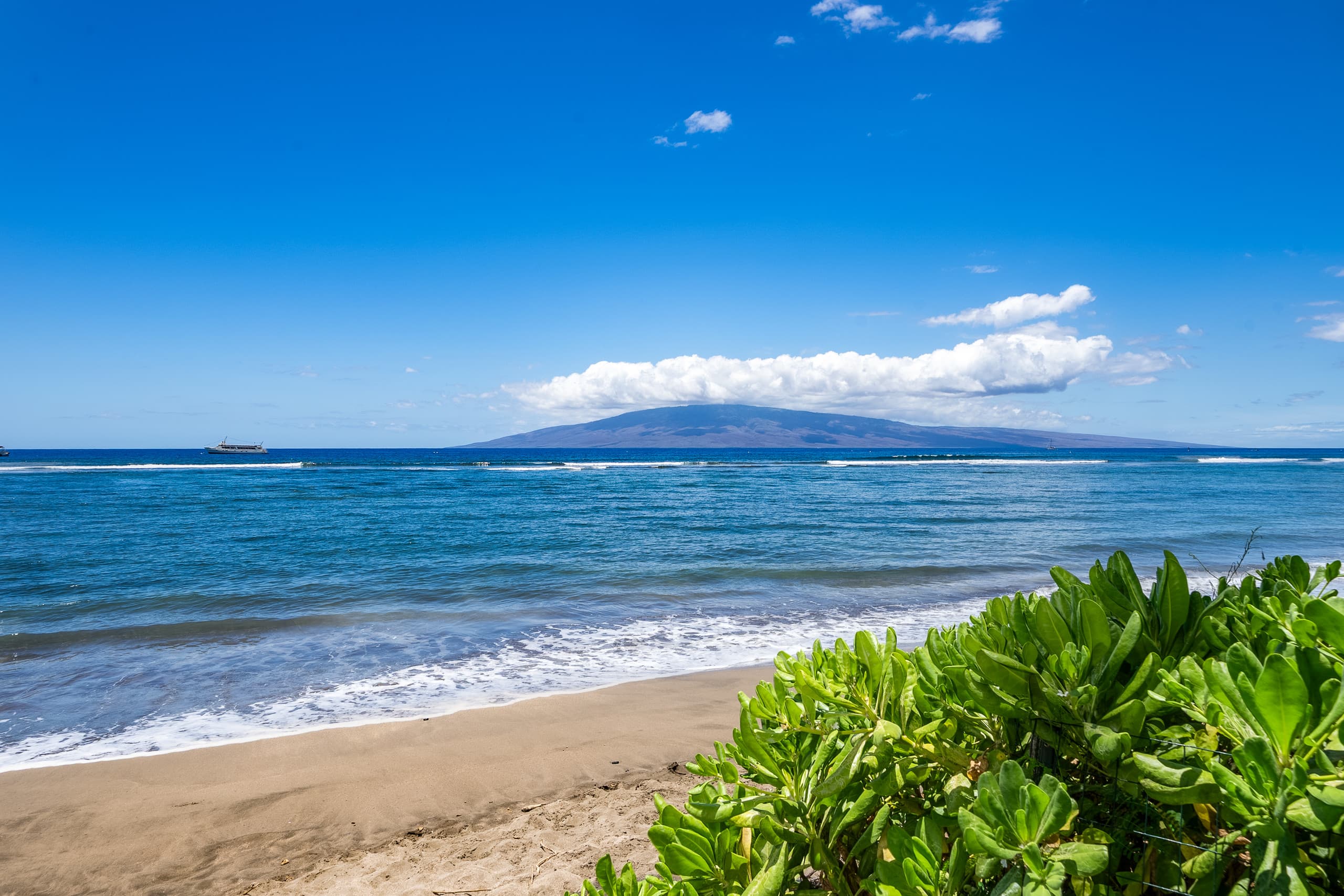 Home in Lahaina · ★5.0 · 1 bedroom · 1 bed · 1 bath - Image 77