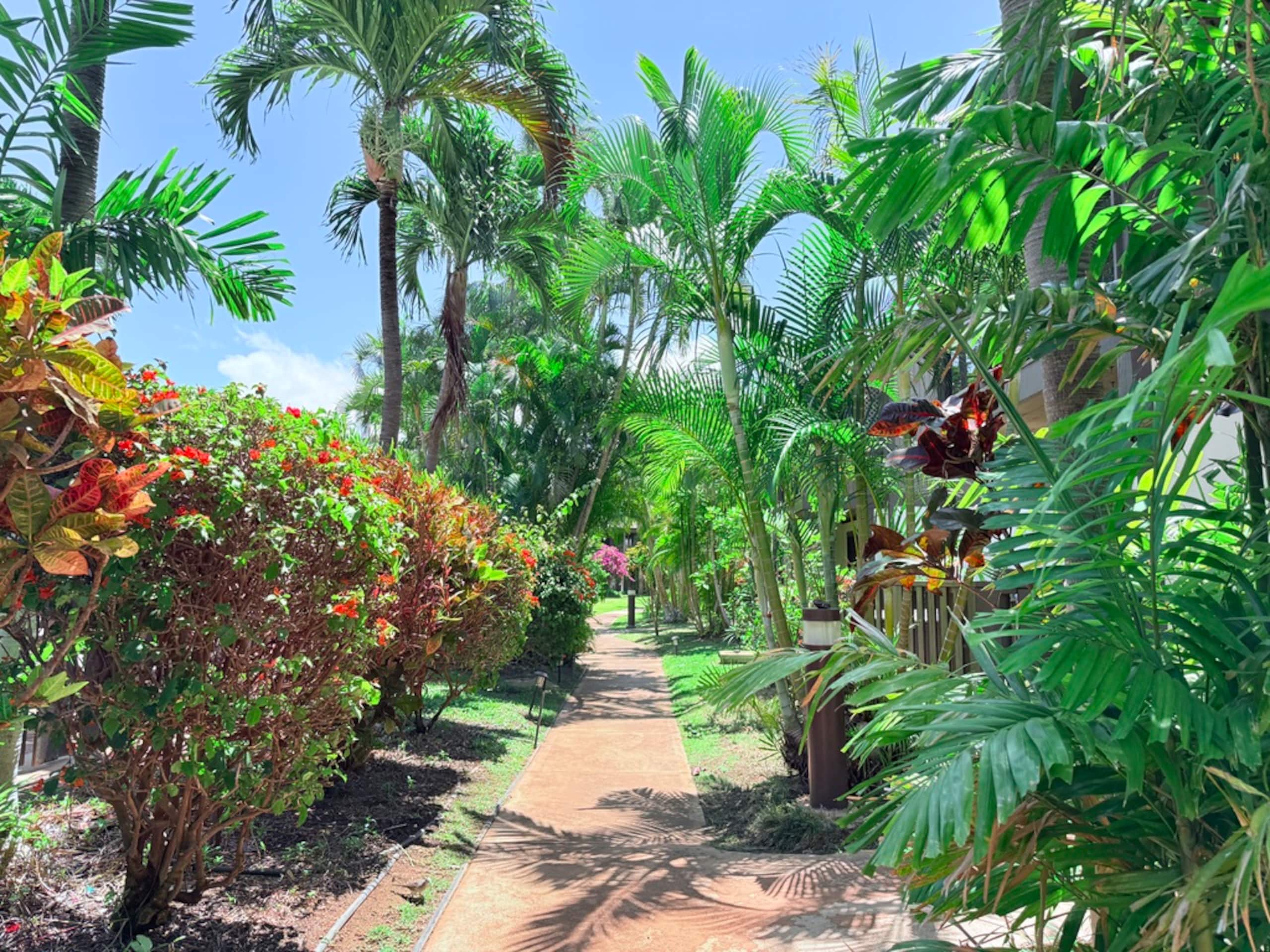 Condo in Kihei · ★5.0 · 1 bedroom · 1 bed · 1 bath - Image 31