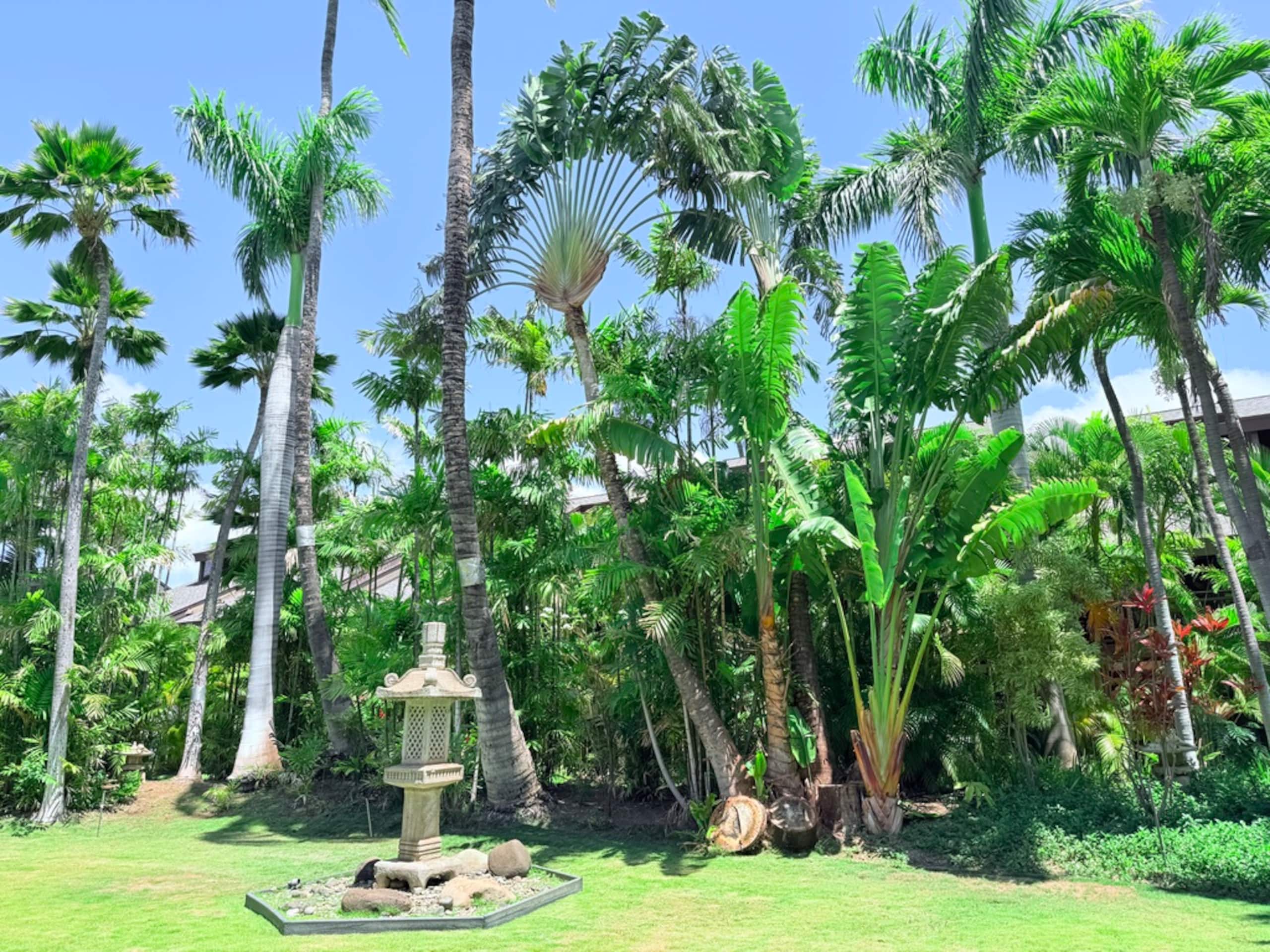 Condo in Kihei · ★5.0 · 1 bedroom · 1 bed · 1 bath - Image 34