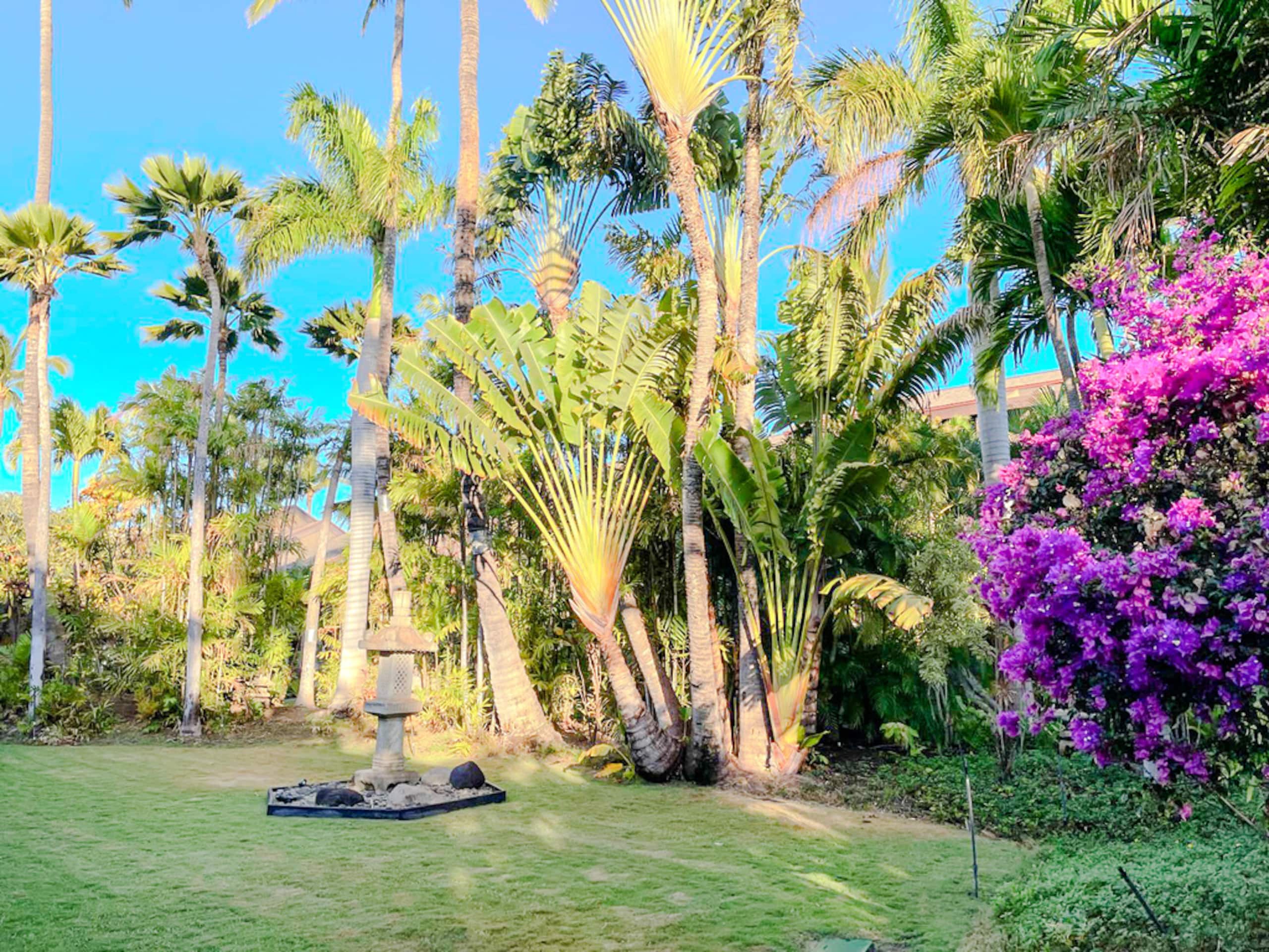 Condo in Kihei · ★5.0 · 1 bedroom · 1 bed · 1 bath - Image 37