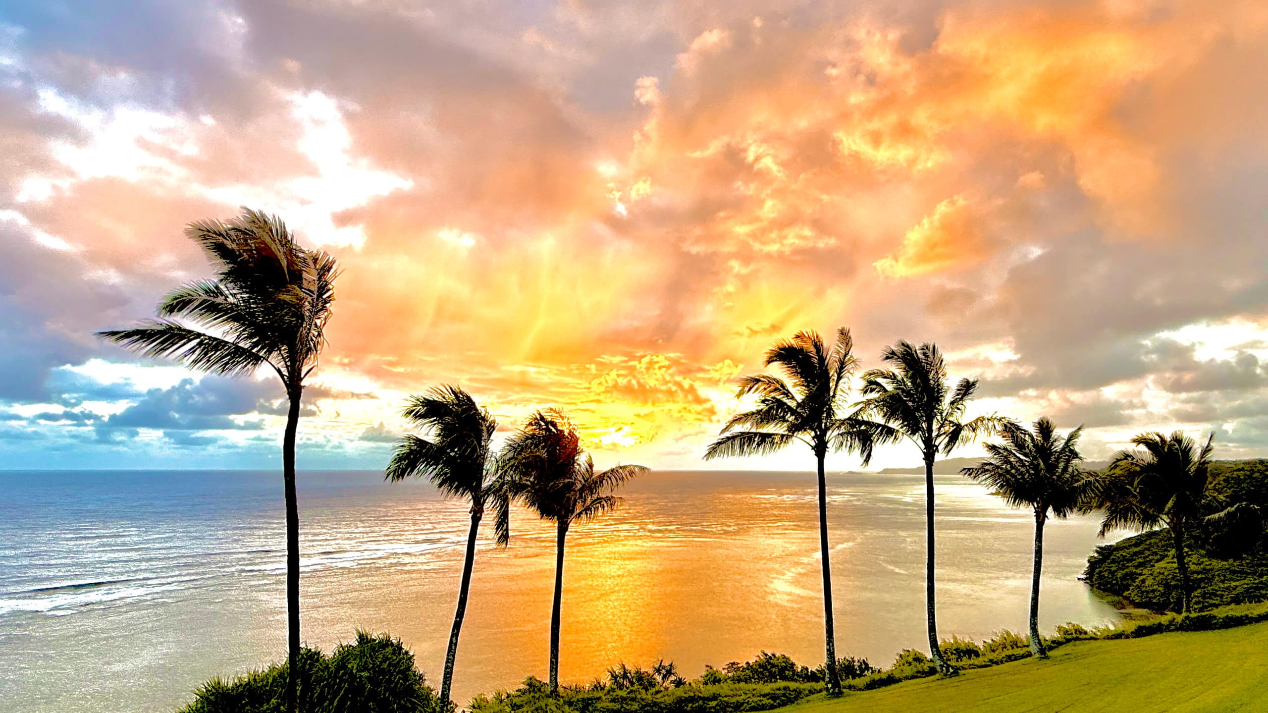 Oceanfront Blufftop Retreat · Panoramic Reef Views - Image 43