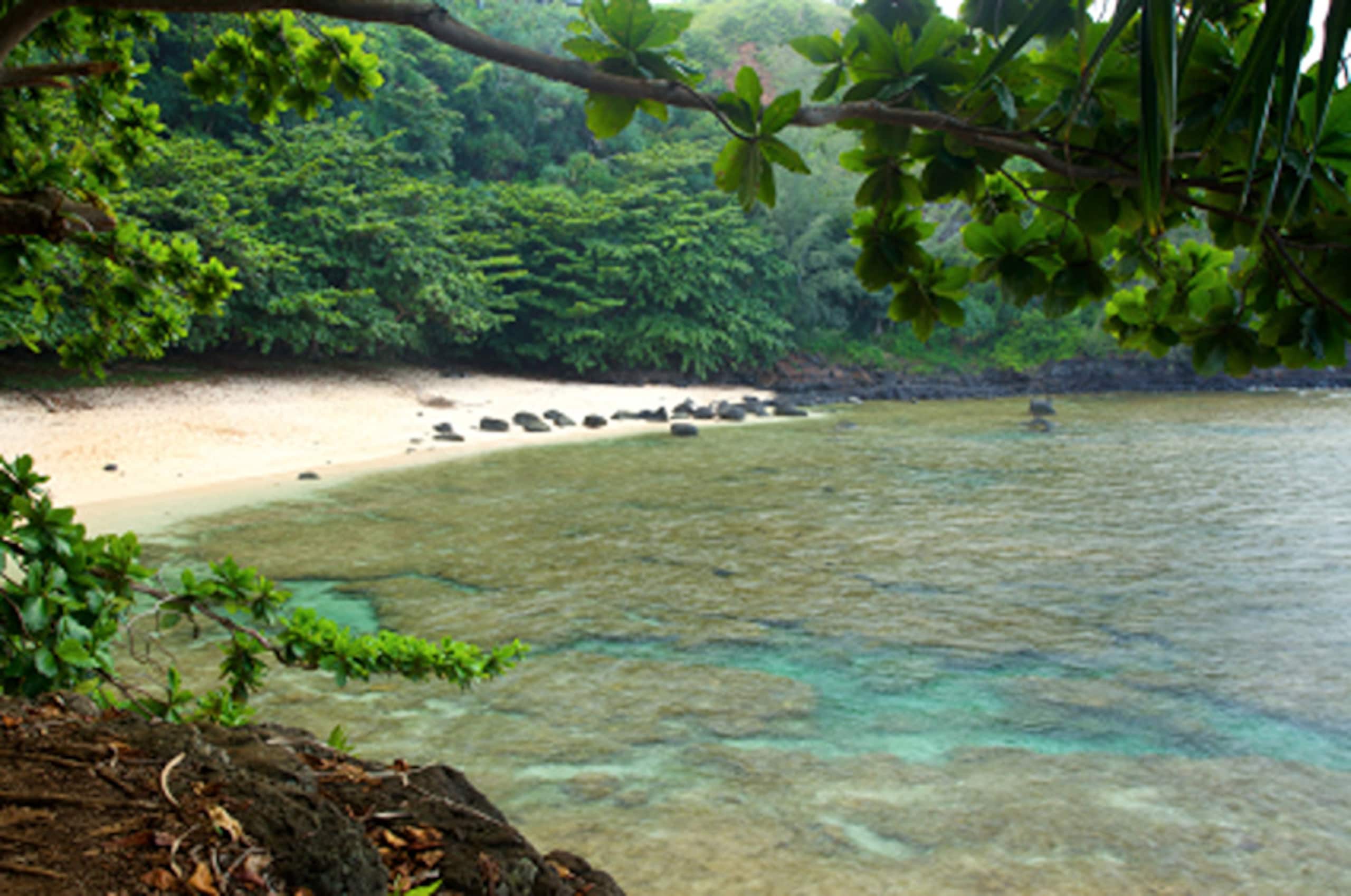 Oceanfront Blufftop Retreat · Panoramic Reef Views - Image 44