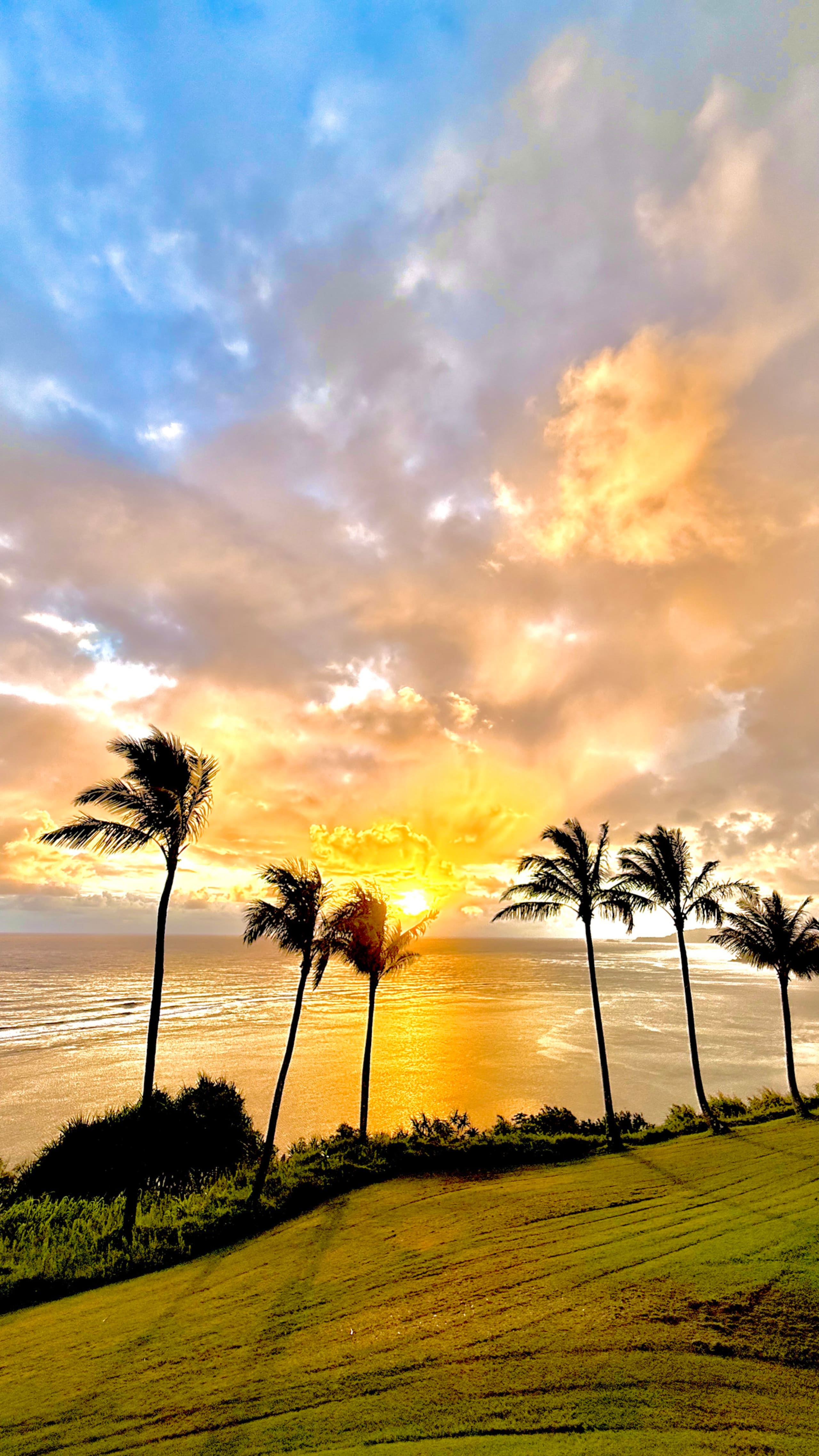 Oceanfront Blufftop Retreat · Panoramic Reef Views - Image 38