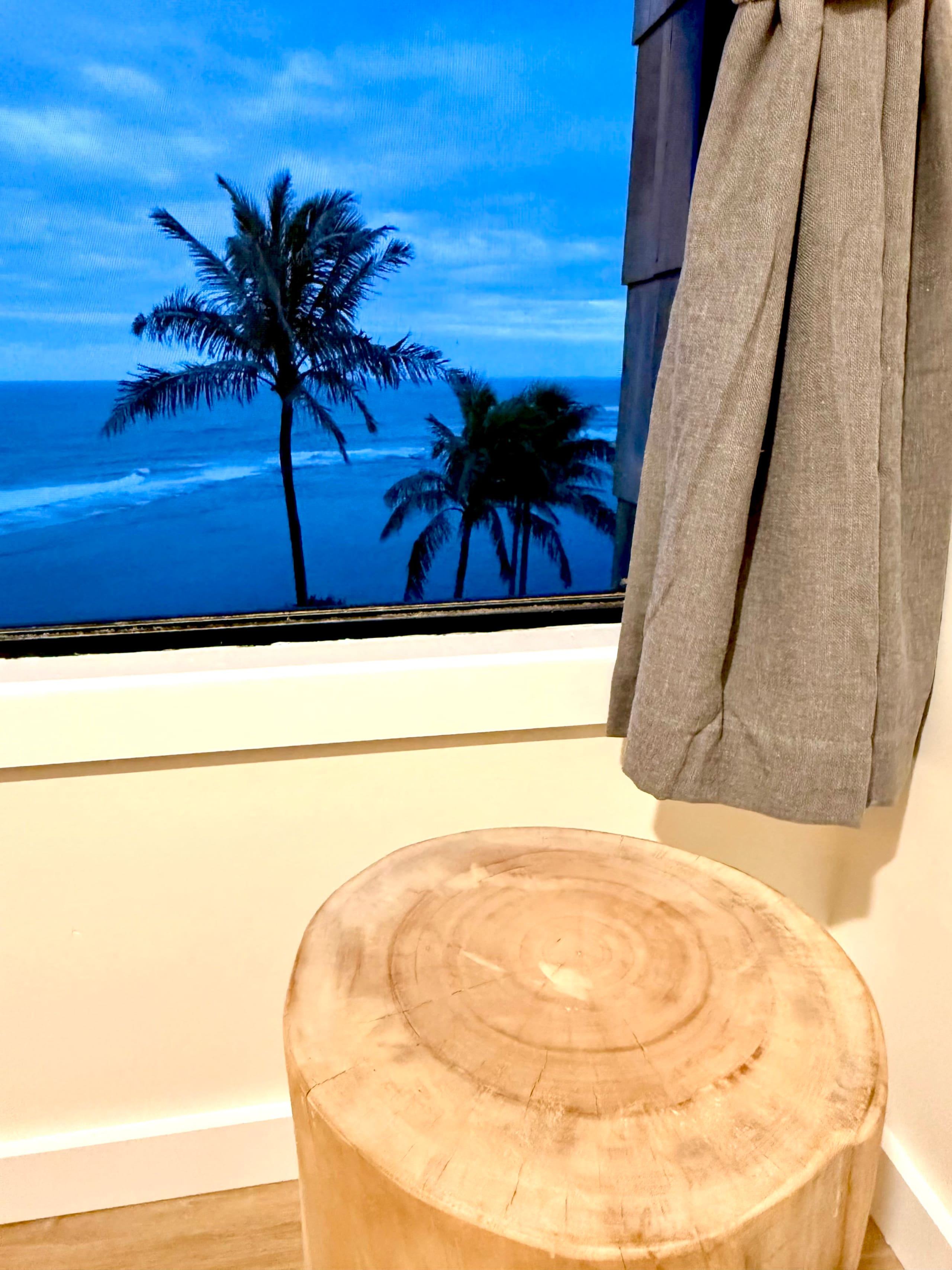 Oceanfront Blufftop Retreat · Panoramic Reef Views - Image 33