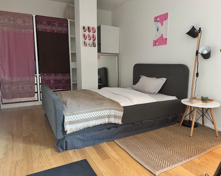 Bright And Stylish Apartment In Central Basel - 巴塞爾