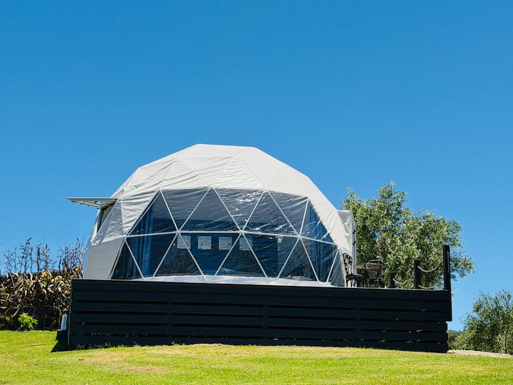Dome On Leccino - Mangōnui